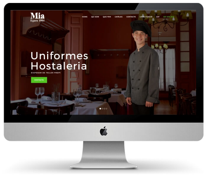 diseño paginas web